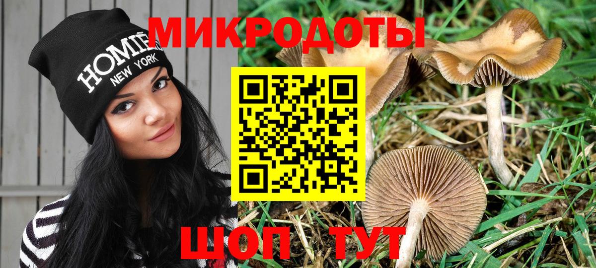 Псилоцибиновые грибы Cubensis  Галлюциногенные грибы мухоморы  Вход с VPN  Клин 