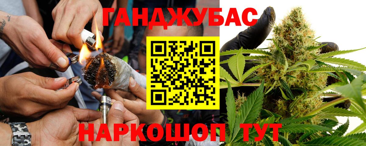 Каннабис планчик  Бошки марихуана OG Kush  Конопля тримм  Вход с VPN  Бошки марихуана Bruce Banner  Клин 